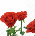 57-růže červené (3) 33569e28e398f7c