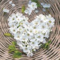 srdce z třešňových květů5900aea14204b