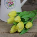 tulipán citronově žlutýa5a61ded358cd9