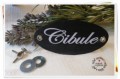 113 cibule edward6159e29322468